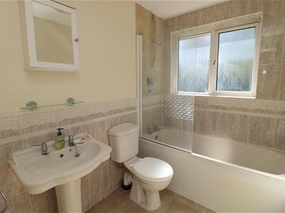 Picture 11